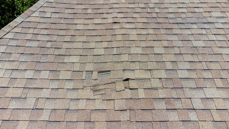 Asphalt Roof Inspection in Fredericktown, OH