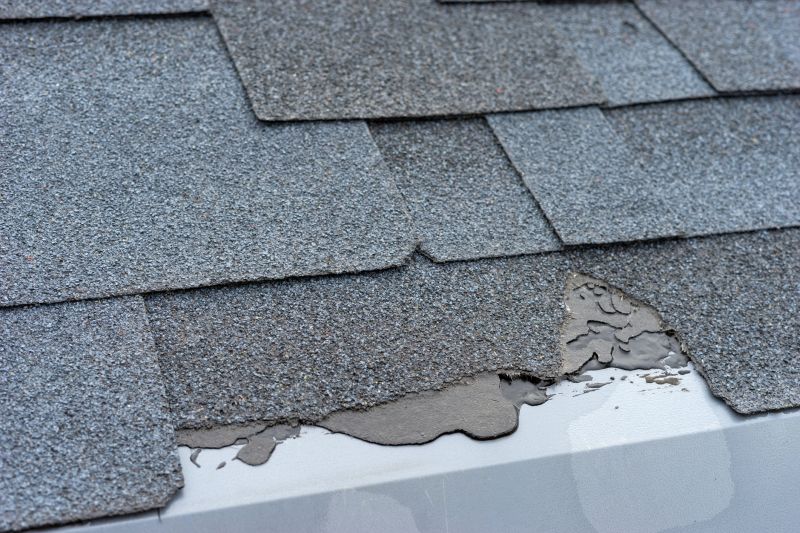 Damaged Roof Repair in Delaware County, OH