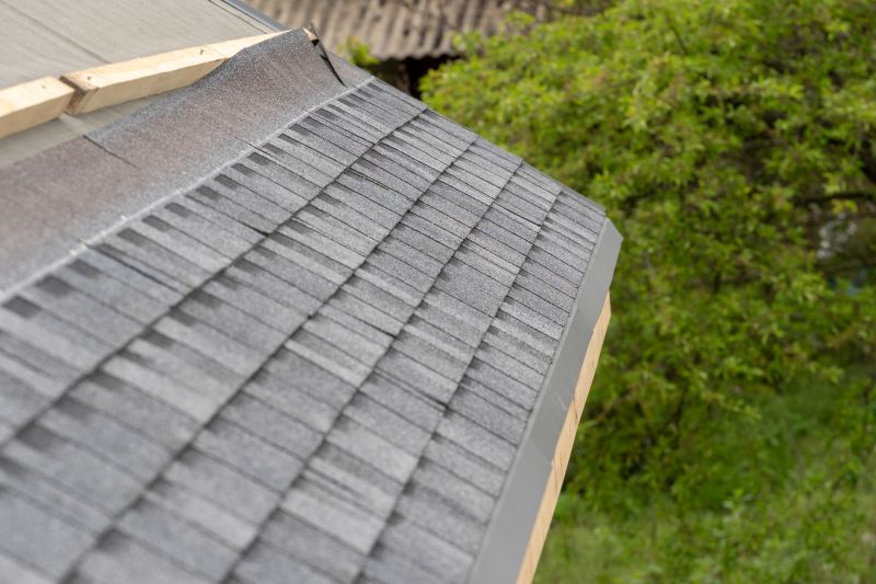 Damaged Roof Repair in Ostrander, OH