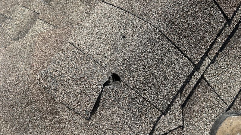 Damaged Roof Repair in Westerville, OH