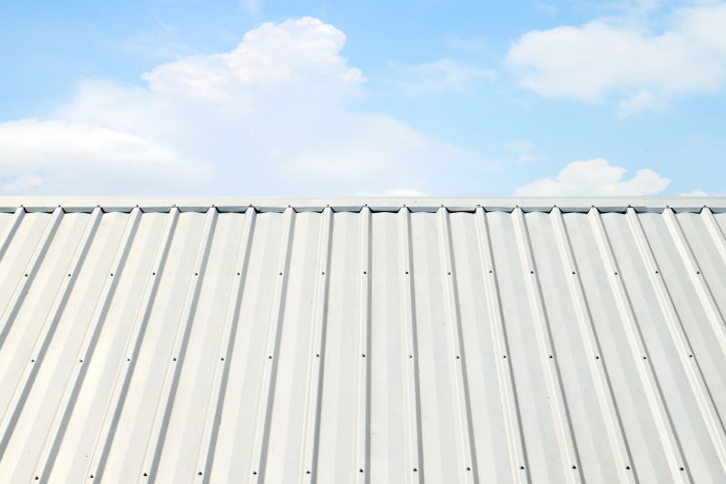 Metal Roof Coating Service in Sunbury, OH