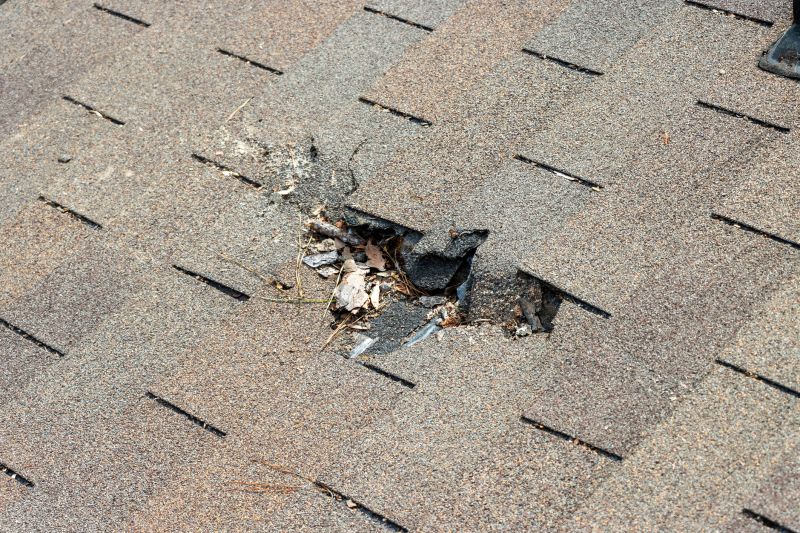 Shingle Roof Replacement in Fredericktown, OH