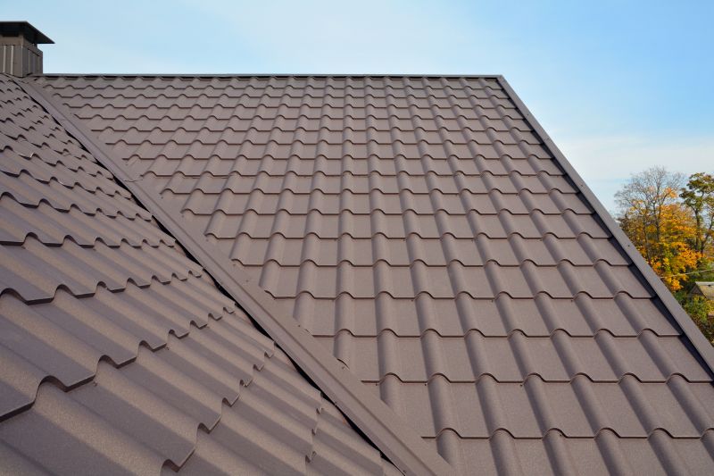 Tin Roof Installation in Lewis Center, OH