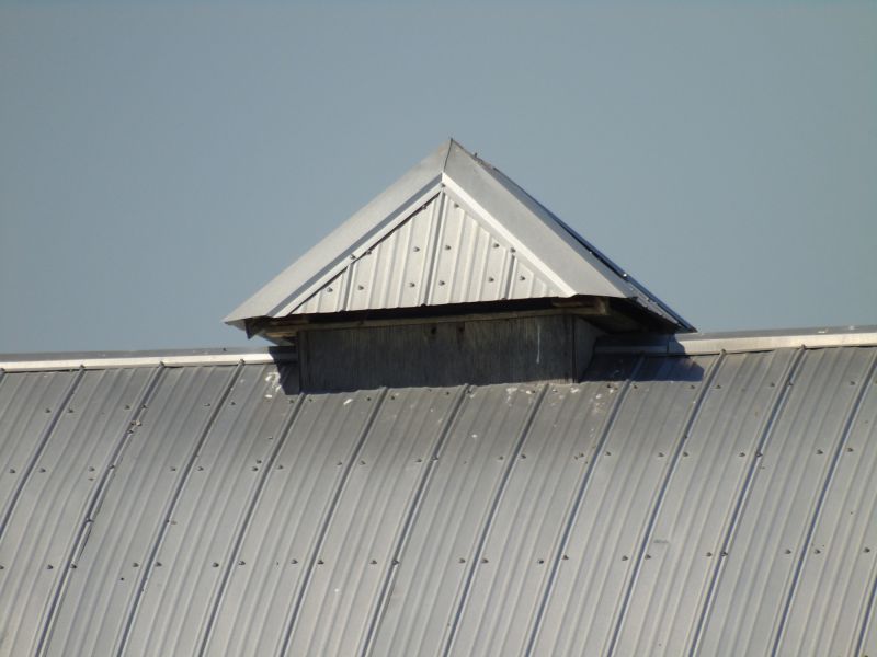 Tin Roof Installation in Mount Gilead, OH
